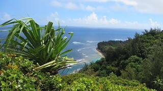 Kee Beach Kauai Hawaii [upl. by Rochell43]