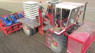 Ferrari Futura Twin 12 Row Automatic planter  Loonbedrijf JC Lokers [upl. by Dwan336]