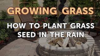 How to Plant Grass Seed in the Rain [upl. by Meaghan608]