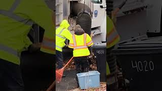 Vacuuming massive leaf pile fallleaves vacuum [upl. by Notsle]