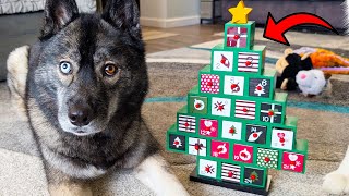 Festive Fun Wooden Christmas Tree Advent Calendar Review [upl. by Nibor]