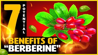 I Was Amazed by BERBERINE  7 Wonderful Benefits of Berberine You Should Know About [upl. by Apurk]