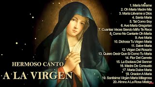 20 Mejores Canciones Alabando A Nuestra Madre  CANCIONES A LA VIRGEN MARIA [upl. by Ahsinat]