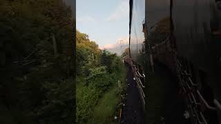 Palakkad to Coimbatore train journey forest view 🥰🥰 [upl. by Zilevi216]