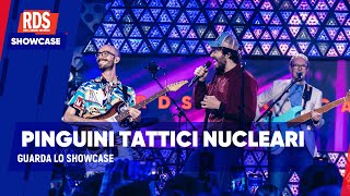 Pinguini Tattici Nucleari il live del loro RDS Showcase [upl. by Nairret]