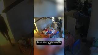 Caught on camera Burglar creeps into Lanham apartment while residents sleep  NBC4 Washington [upl. by Anem]