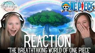 The Breathtaking World Of  ONE PIECE  Reaction 💕 [upl. by Rodrick557]