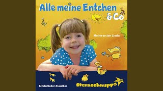 Ich bin ein dicker Tanzbär Kinderlied zum Tanzen [upl. by Adnah]