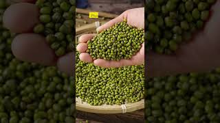 Why Peas Are a Superfood You Need in Your Diet peas healthyeating [upl. by Gerty]