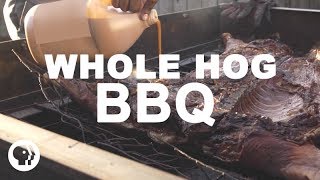 Whole Hog BBQ  South Carolina Style [upl. by Swetiana]