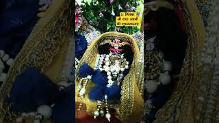 Maine suna hai vahan lali bhai hai  Radha ashtmi celebration video laddu gopal ji ki seva [upl. by Ominorej]