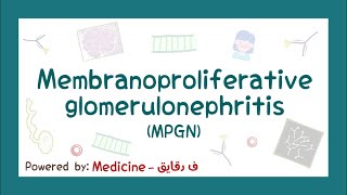 Membranoproliferative GN MPGN pathophysiology causes symptoms diagnosisamp treatment شرح عربي [upl. by Kenrick72]