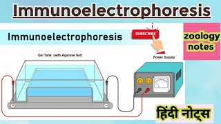 Immunoelectrophoresis MSc zoology 2nd semester Hindi notes [upl. by Nimajneb]