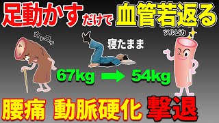 【騙されたと思って3分足動かすだけ】みるみる勝手に血管が若返って中性脂肪も減って動脈硬化を撃退！腰痛・坐骨神経痛・脊柱管狭窄症も改善！お腹の脂肪も取れてお腹痩せもできた！ [upl. by Levram]