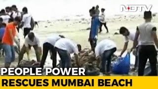 Mumbais Dirtiest Beach Is Finally Clean 5 Million Kg Filth Removed From Versova [upl. by Hussar316]