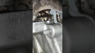 Engine oil leakage problem  Oil Leaking problem automobile mechancial enginecomponent [upl. by Hook664]