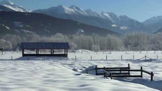 Tourism Pemberton BC [upl. by Heilman]