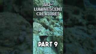 Bioluminescent Creatures part 9 shorts [upl. by Eilegna]