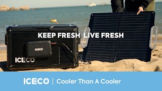 ICECO  Portable Freezer Master [upl. by Thema]