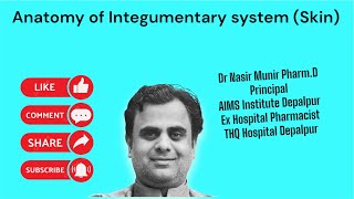 Integumentary system  skin [upl. by Jaret]