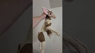 part 2 Making a coyote PLUSHIE start to finish furry handmadeplush [upl. by Nozicka]