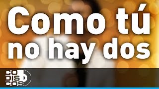 Como Tú No Hay Dos Cayito Dangond Y Paulo Del Toro  Audio [upl. by Nyahs183]