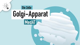 GolgiApparat  Aufbau amp Funktion  MedAT  Biologie [upl. by Song]