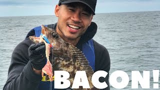 Fishing for Lingcod rockfish with BACON [upl. by Noral]