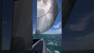 Live a true sailing experience on board a Windelo [upl. by Otte232]