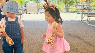 Super fun family  Kids on the carousel at the Phoenix Zoo [upl. by Euk]