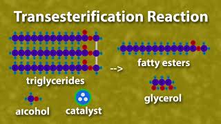 Biodiesel Masterclass What is Biodiesel [upl. by Gerianna971]