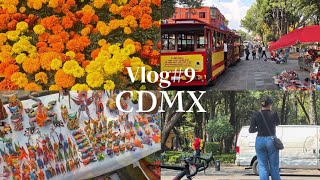 VLOG9 Chavita de provincia en la capital [upl. by Eenwat288]