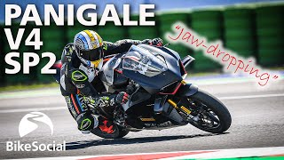 quotJawdroppingquot Ducati Panigale V4 SP2 tested on track [upl. by Naeruat130]