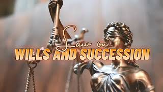 004 Intestate Succession  Wills and Succession  by Dean Navarro [upl. by Martinelli]