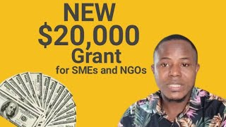 How To Apply and Win 20000 Grant For SMEs and NGOs [upl. by Ahtekal]