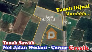 Tanah Sawah Dijual Gresik  Desa Wedani Cerme Gresik [upl. by Leumel]