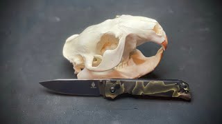 Kizer Begleiter 2 Review [upl. by Irrehs831]