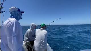 How is tuna fishing guys [upl. by Pincas]