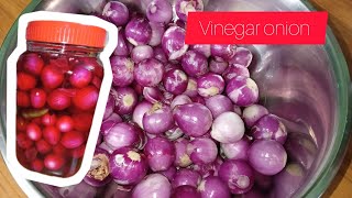 vinegar onion recipe seemufoodtech105 [upl. by Lurie]