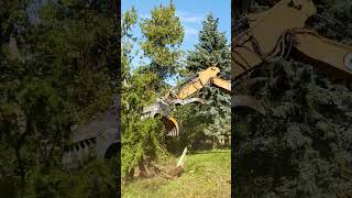 MDE Scorpion S1600 Excavator Grab IN ACTION  Morton Equipment demolition construction [upl. by Arlynne]