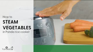 How To Steam Vegetables In The Yum Asia Panda Mini Rice Cooker [upl. by Angela]