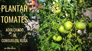 Cómo PLANTAR TOMATES en un HUERTO ECOLÓGICO así sin más 🤷🏻‍♂️🍅  en20metros [upl. by Longawa932]