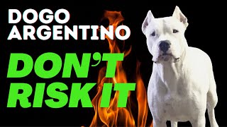 YOU CAN’T HAVE A DOGO ARGENTINO if [upl. by Alodi]