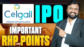 Akums Drugs  CEIGALL INDIA IPO Important RHP Points  Money Purse IPO [upl. by Alyakam]