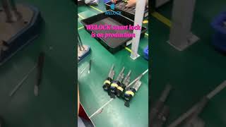 WELOCK smart lock is on production welock welocksmartlock factorydirect diy [upl. by Wu]