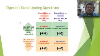 62 Operant Conditioning [upl. by Kragh824]