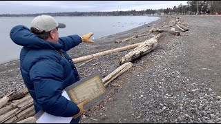 A Guided Tour of the new Birch Bay Berm [upl. by Moriarty257]