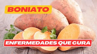 Beneficios del boniato mejora tu salud combate enfermedades  ESTAS SON LAS PROPIEDADES DEL BONIATO [upl. by Hewitt830]