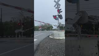 Amtrak Capitol Corridor West Road 32A Crossing DavisCa [upl. by Nnayhs]