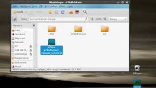 How To add skins to Mplayer in Linux [upl. by Eibot945]